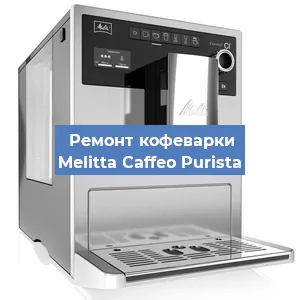 Замена ТЭНа на кофемашине Melitta Caffeo Purista в Красноярске